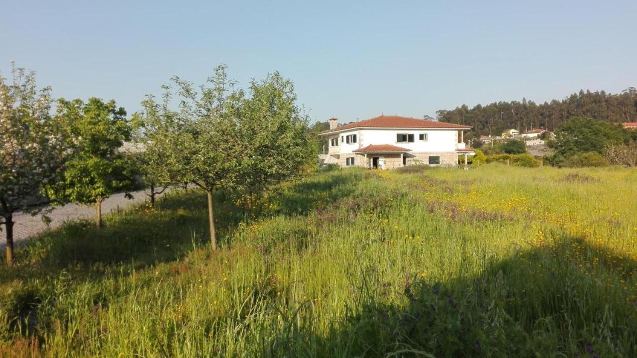 Casa Do Senhor Da Ponte Villa Gondifelos Eksteriør bilde